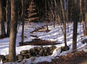 Timberinghill Property Photo