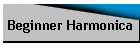 Beginner Harmonica