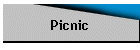 Picnic