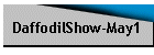 DaffodilShow-May1