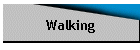 Walking