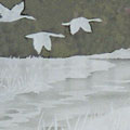Sand-carved Geese over Inter-tidal Marsh